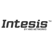 Intesis